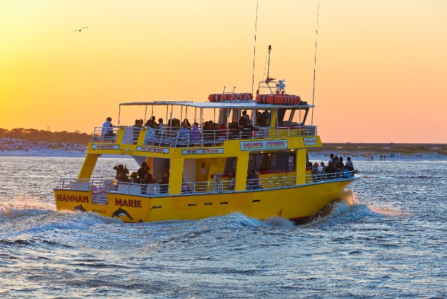 dolphin watching on a sunset cruise in Destin